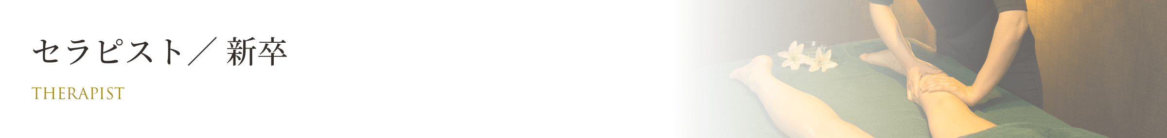 セラピスト/新卒